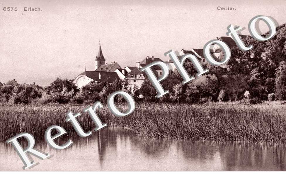 Erlach, Cerlier