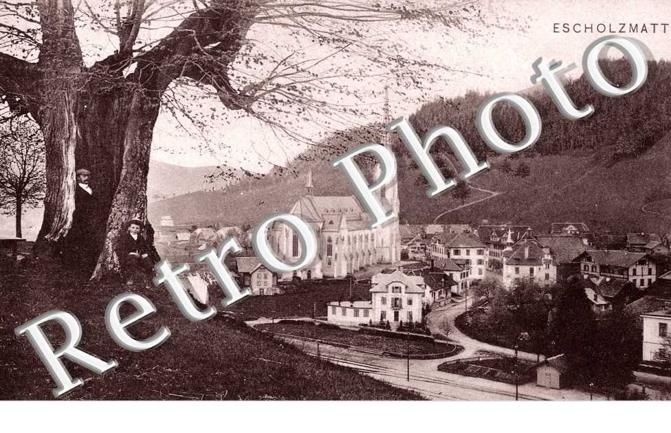 Vue générale 
