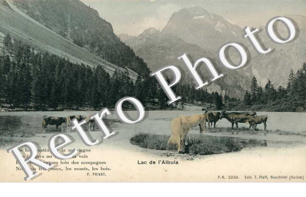 Lac de l'Albula