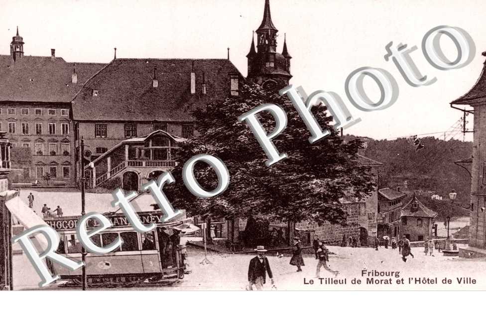 le Tilleul de Morat et l'Hotel de Ville