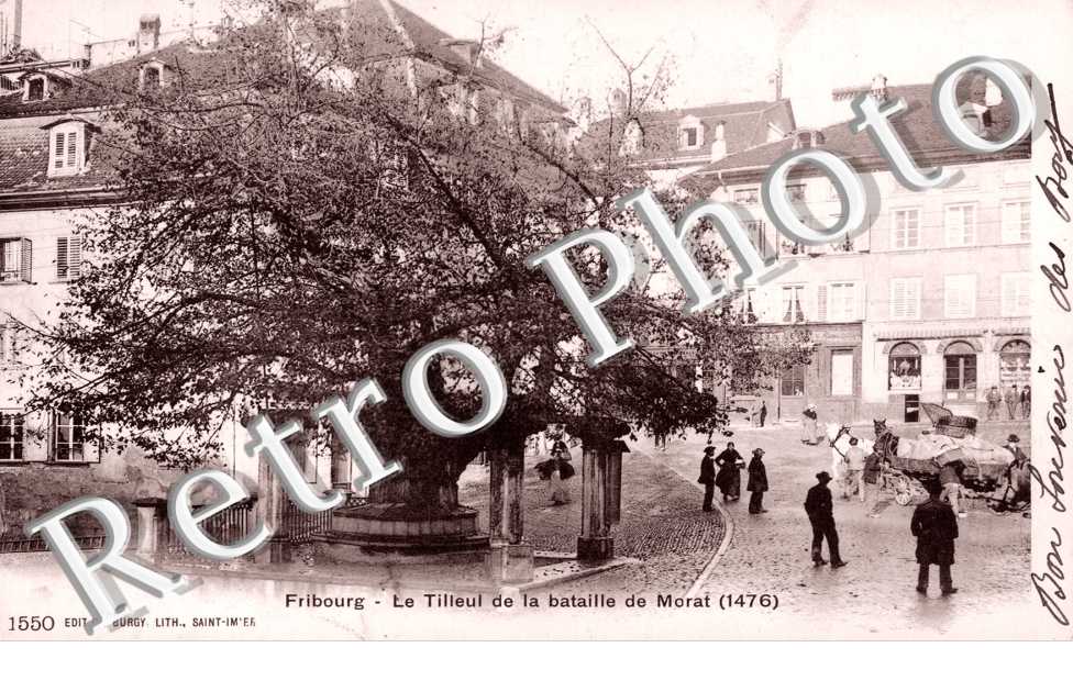Le Tilleul de la Bataille de Morat