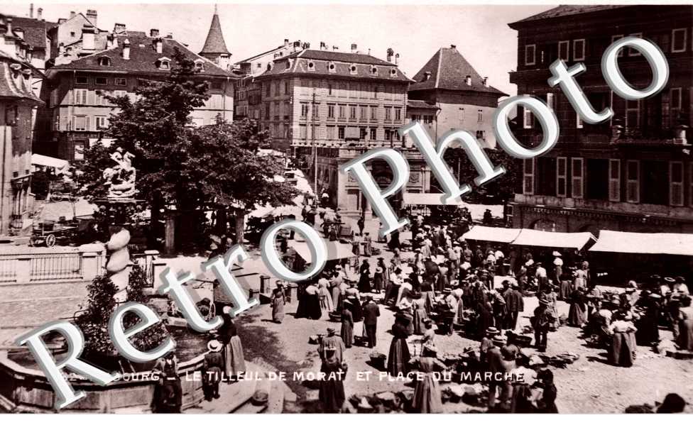 le Tilleul de Morat et la Place du Marche