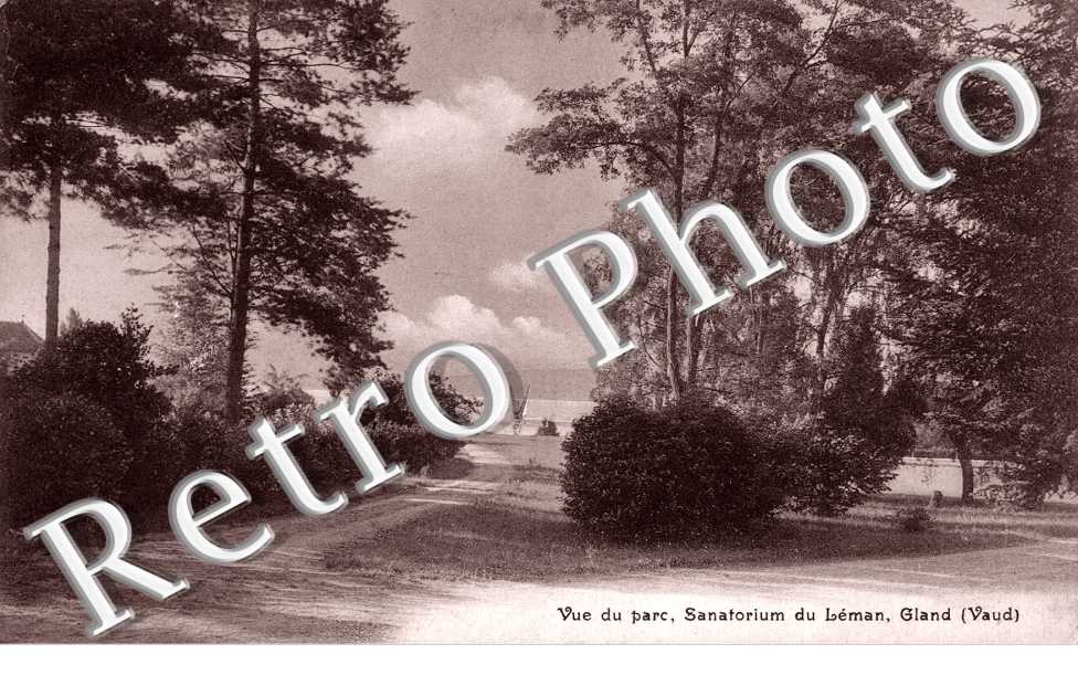 Vue du Parc du Sanatorium du Leman