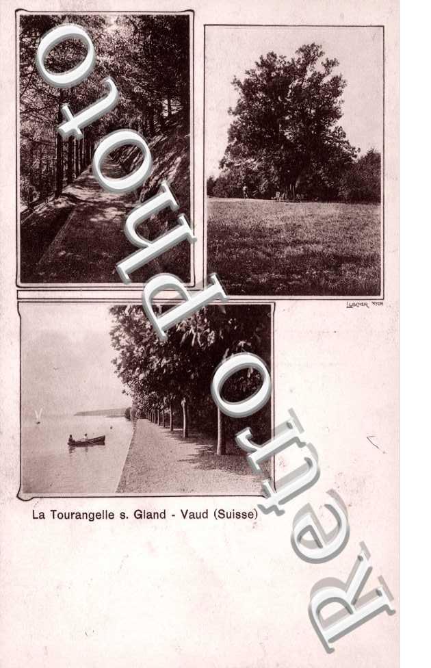 La Tourangelle sur Gland