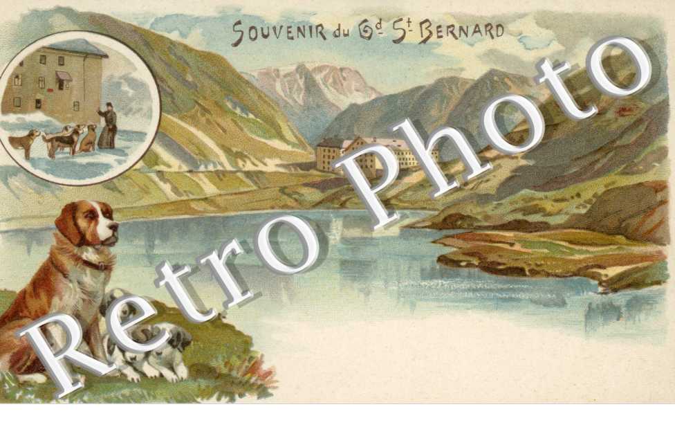 Souvenir du Gd St Bernard