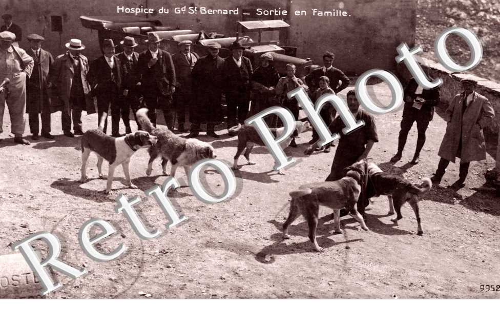 Hospice du Grand Saint Bernard, Sortie en Famille