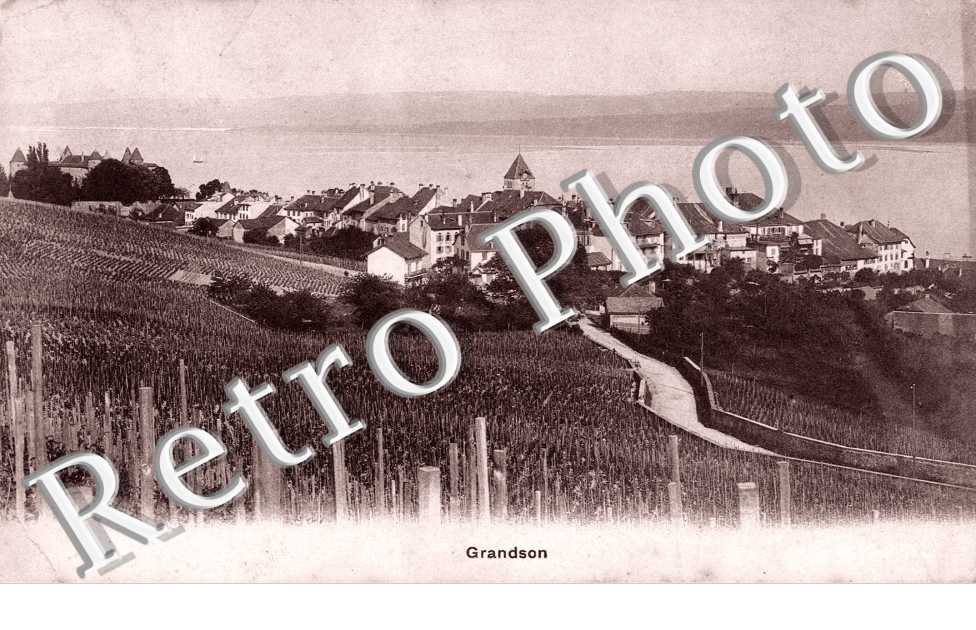 Vue Panoramique