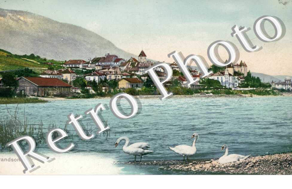 Vue générale 