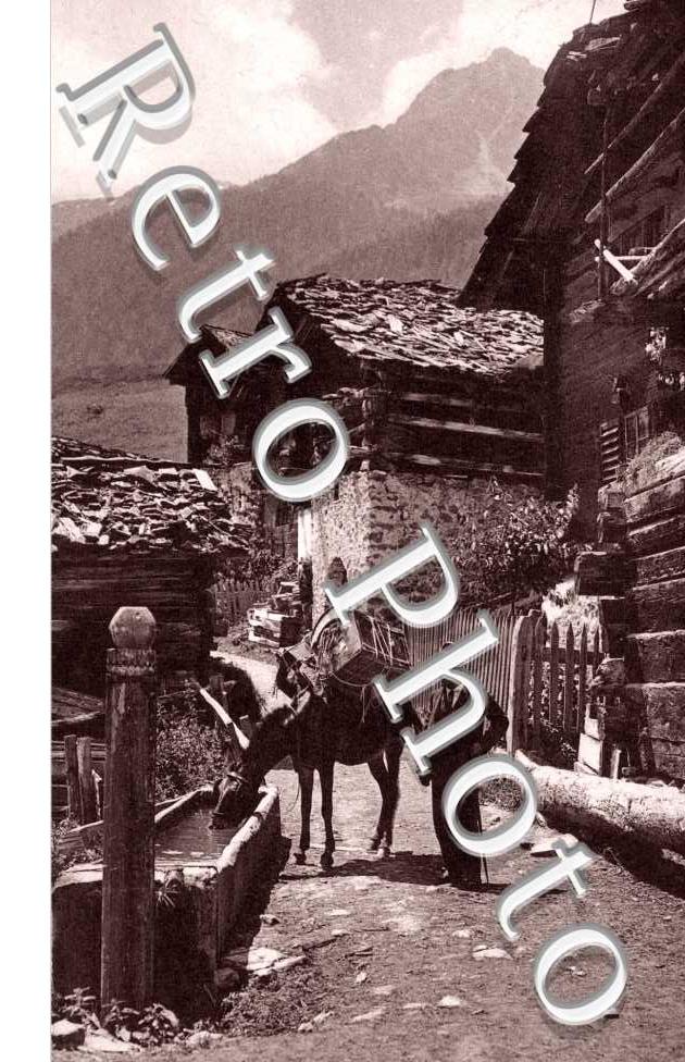 Un homme et son cheval