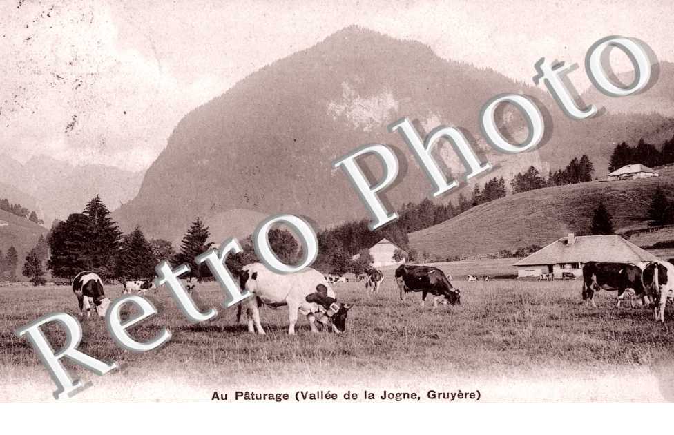 Au paturage, vue de la Vallée