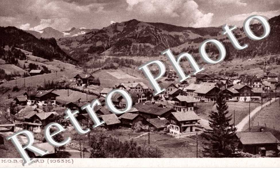 Vue Panoramique