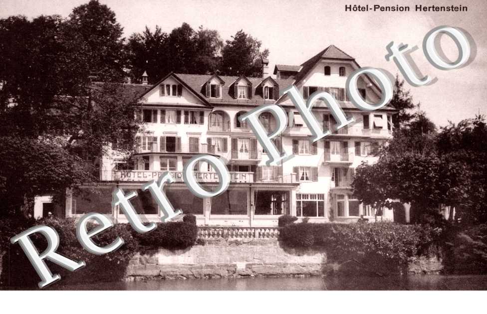 Hotel-Pension Hertenstein