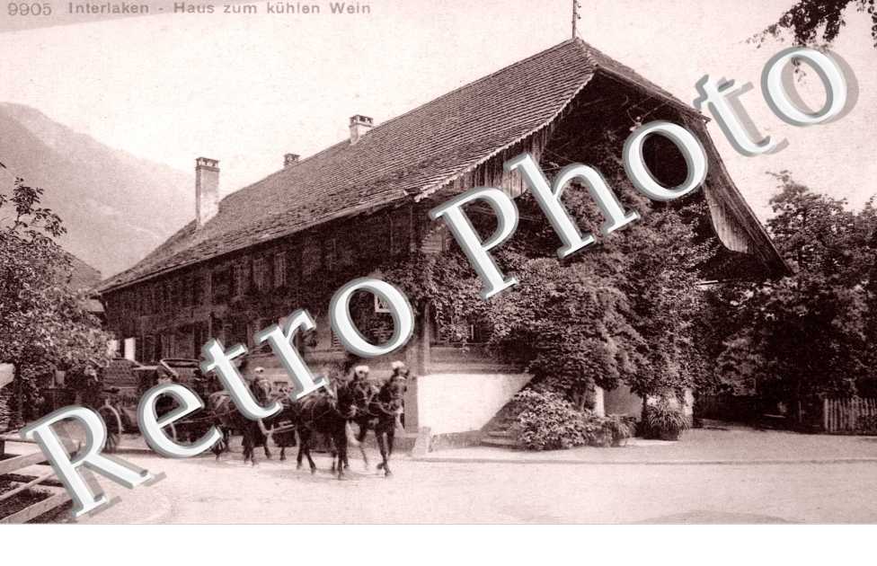 Haus zum kuhlen Wein