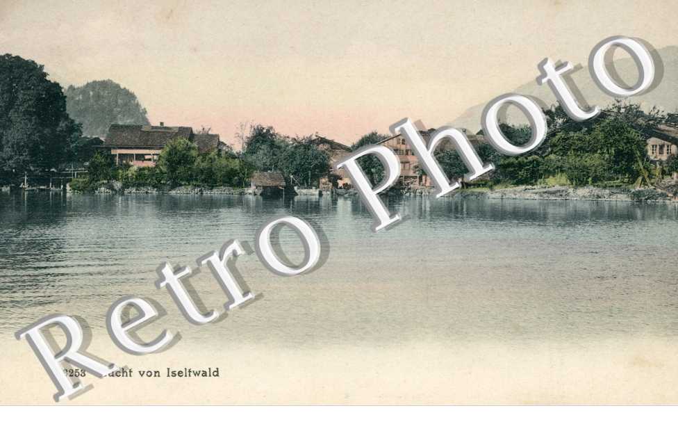 Vue générale 