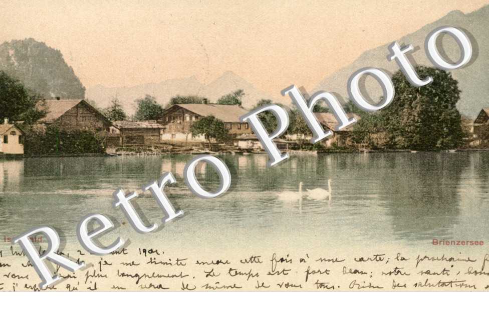 Vue générale 