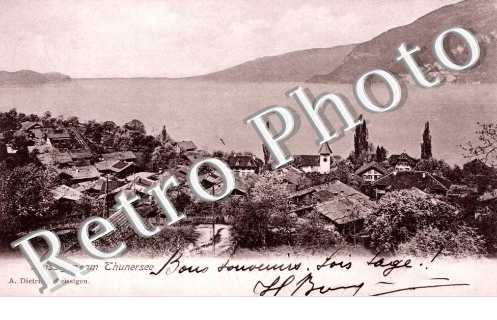 Leissigen am Thunersee, Vue Panoramique