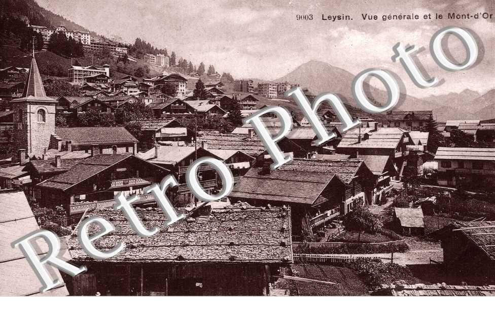 Vue Generale et le Mont d'Or