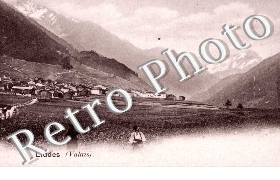 Vue Panoramique