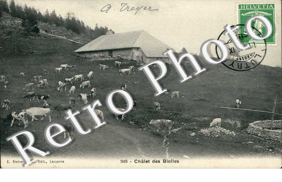 Chalets des Biolles