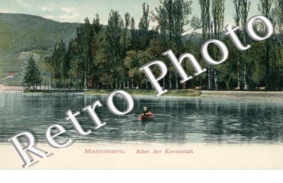 Allee der kuranstalt