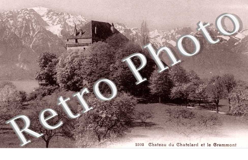 Chateau du Chatelard et le Grammont