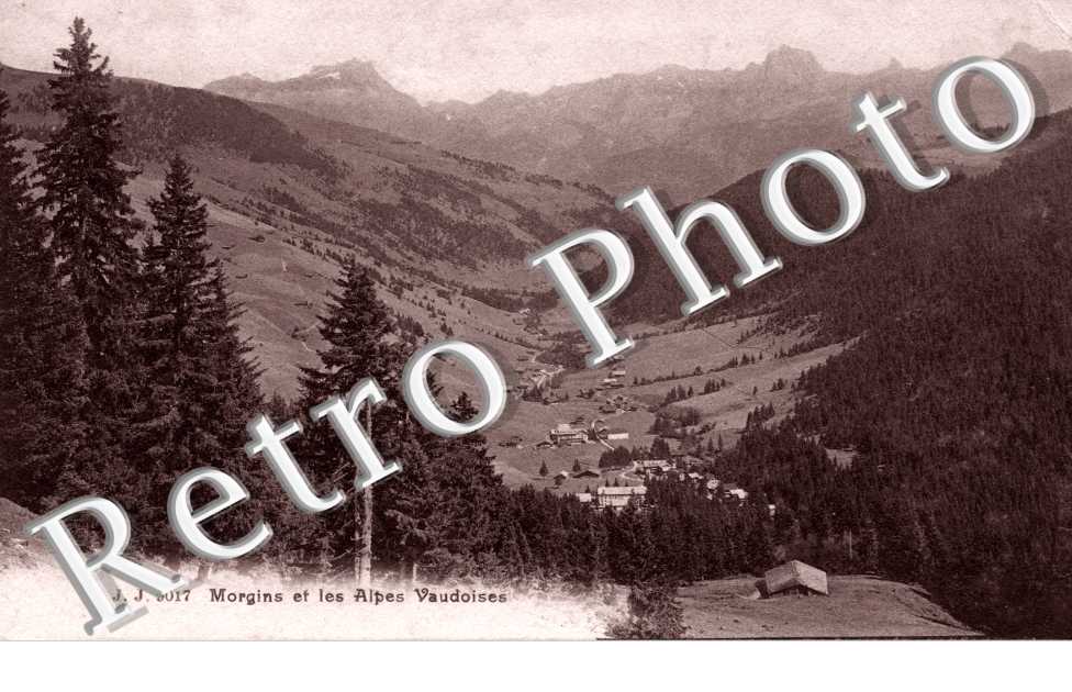 vue generale et les Alpes Vaudoises