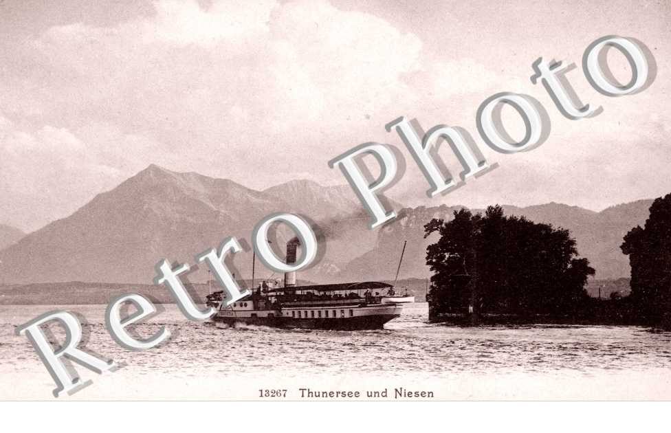 Thunersee und Niesen