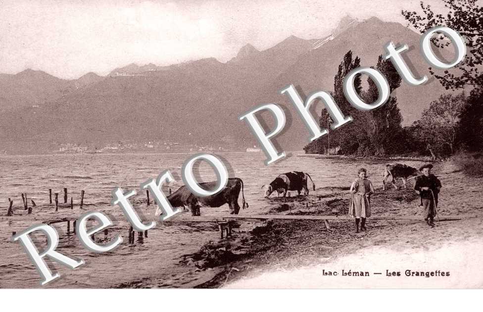 Lac Léman , les grangettes
