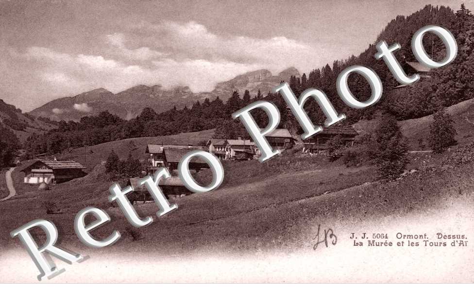 Ormont Dessus  La muree et les tours d'Ai