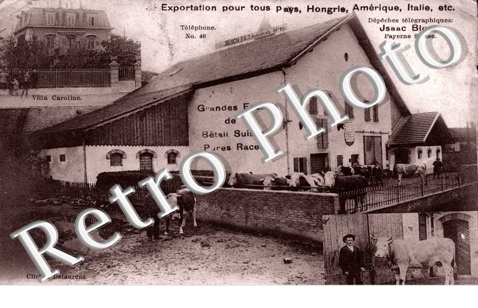 Grandes ecuries de betail suisse