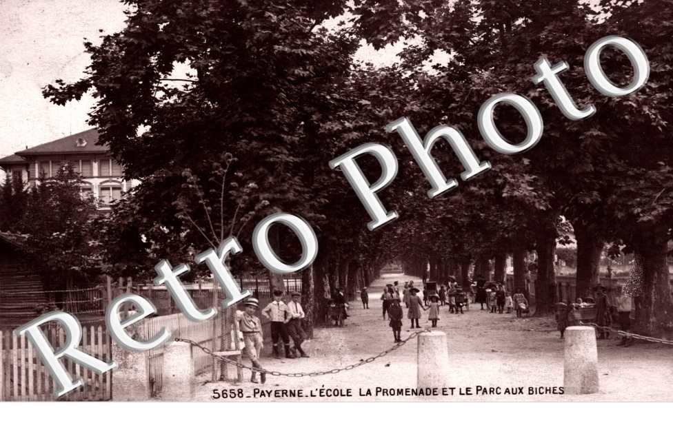 L'école la promenade et le parc aux biches