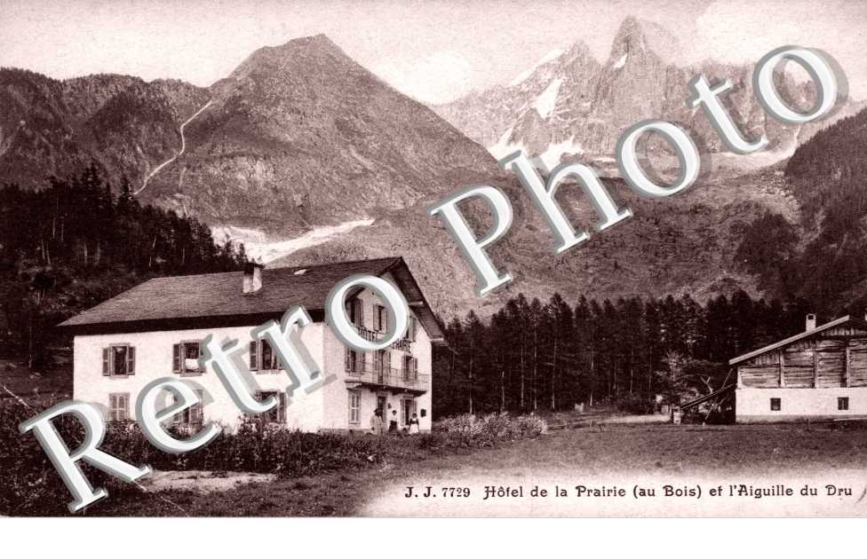 Hotel de la Prairie (au bois) et l'Aiguille du Dru