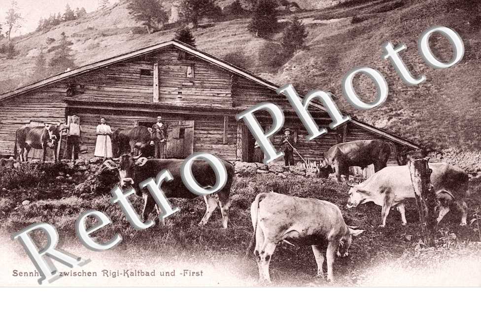 Sennhutte zwischen Rigi-Kaltbad und first