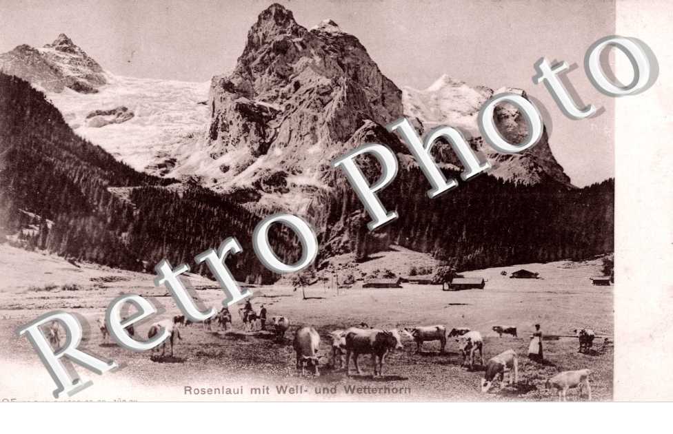 Well und wetterhorn