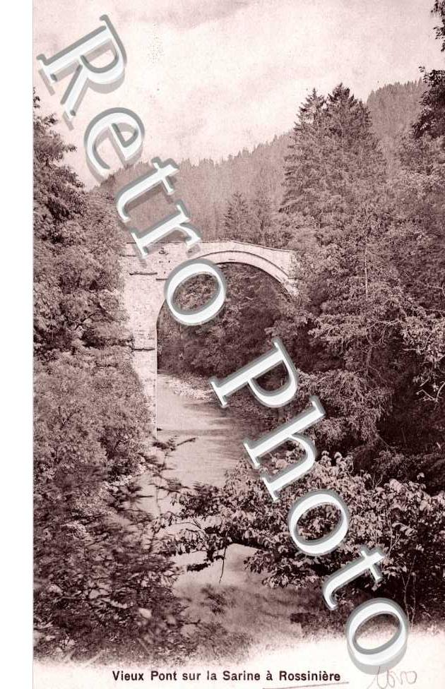 Vieux Pont sur la Sarine