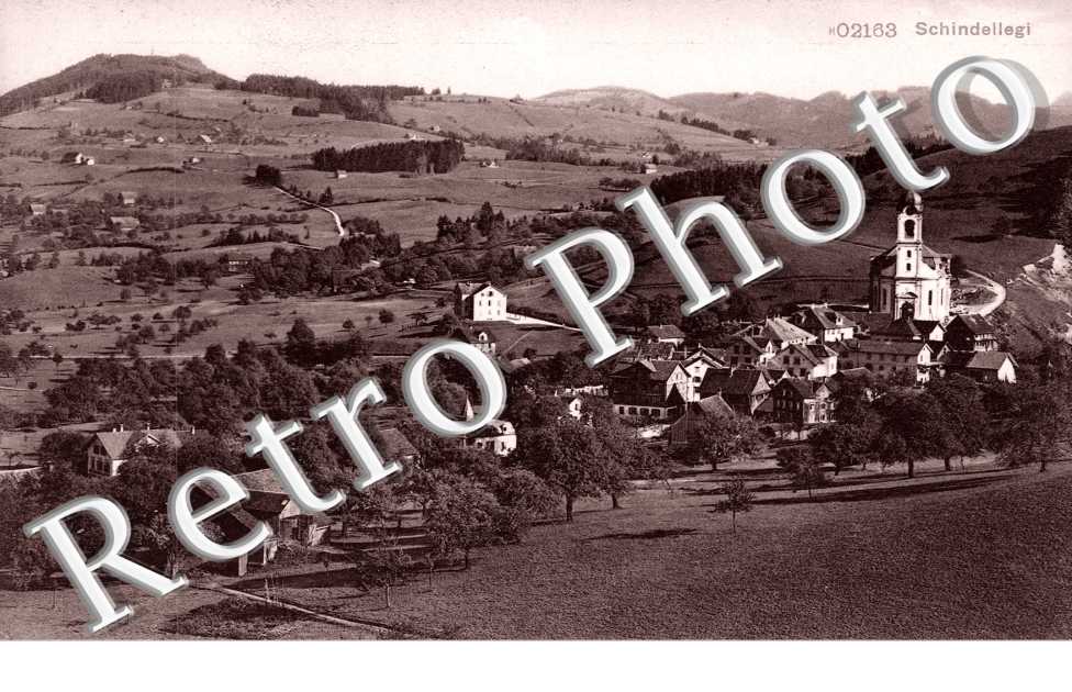 Vue Panoramique