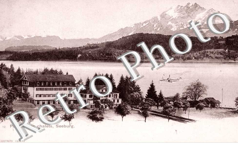 Polytechnic Chalets