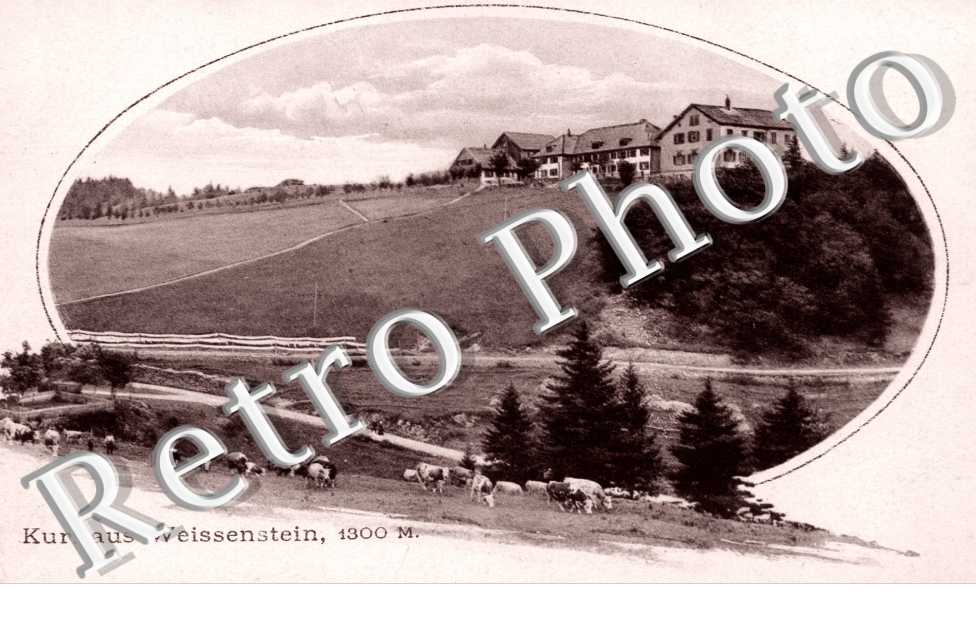 Kurhaus Weissenstein