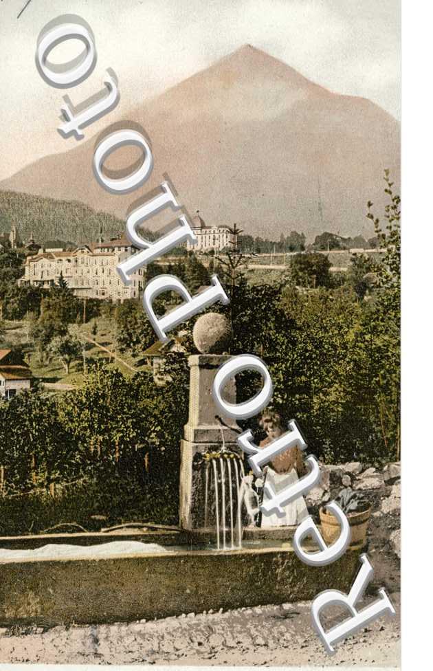 patrie  in spiez mit Niesen