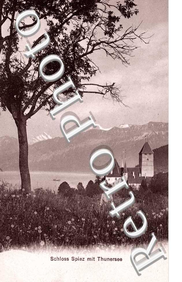 Schloss Spiez mit Thunersee