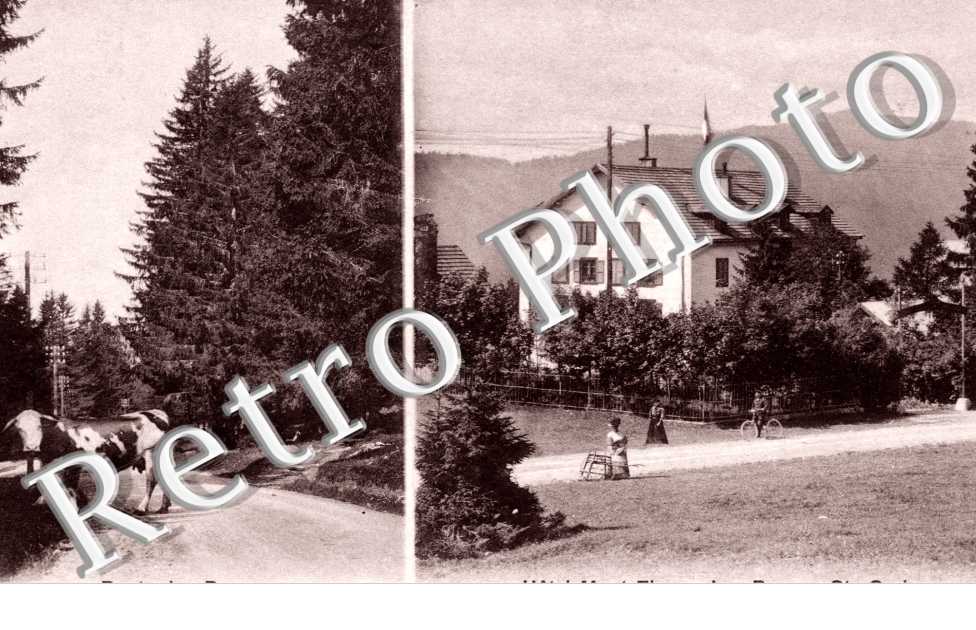 route des Rasses Hotel Mont-Fleury L. Junod-Brouillet propr.