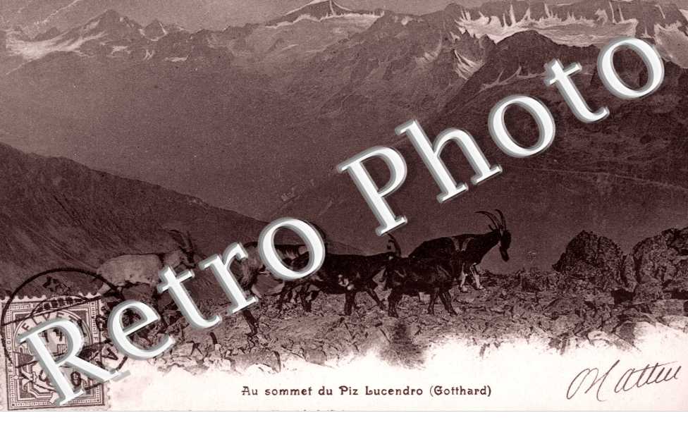 Au sommet du Piz Lucendro