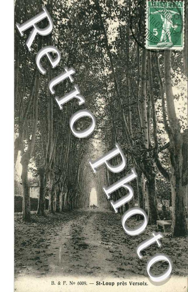 Une All Arbor