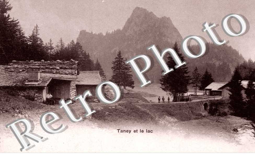 Taney et le Lac