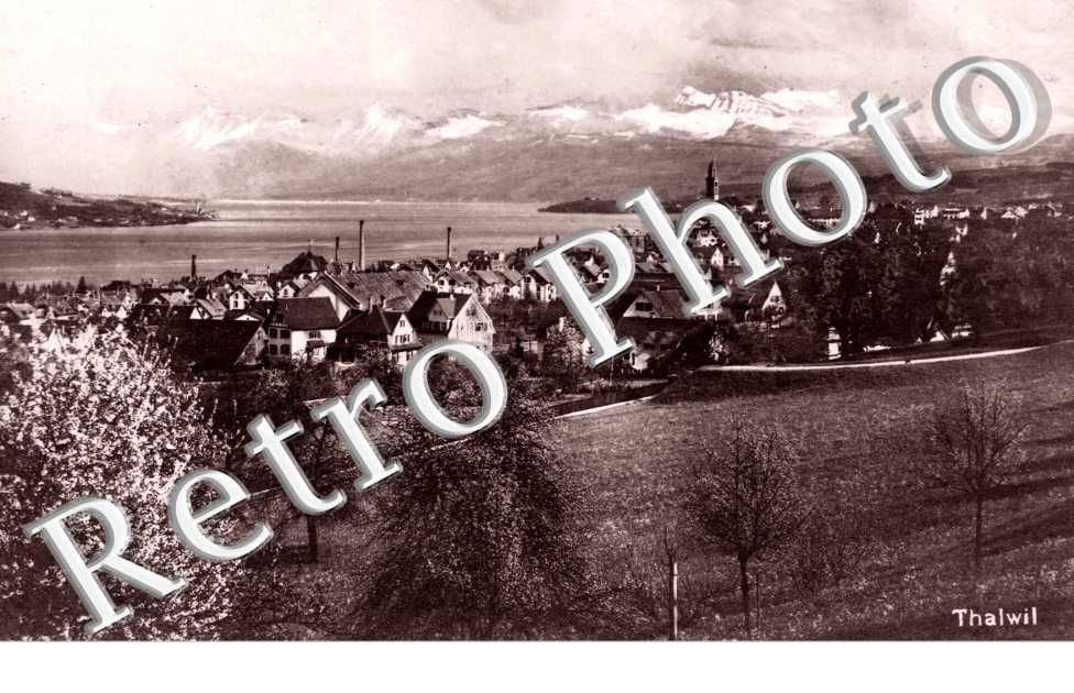 Vue Panoramique
