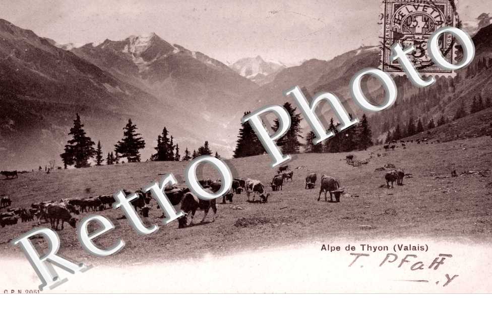 Alpe de Thyon