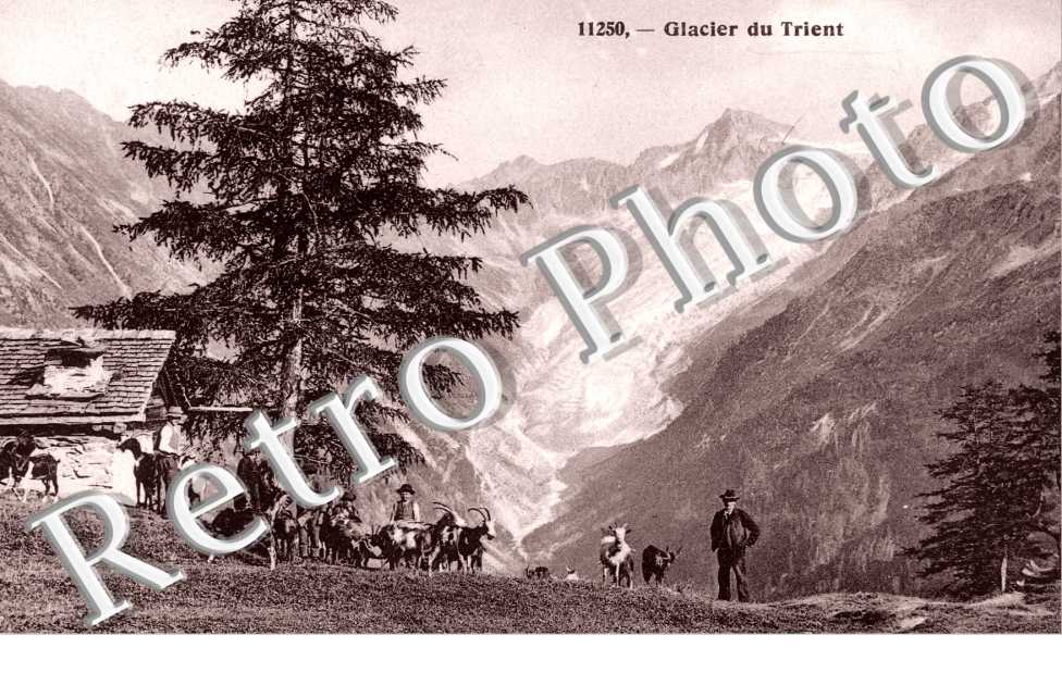 Glacier du trient