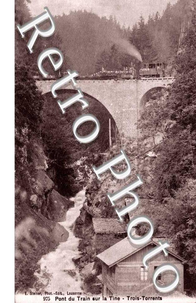 Pont du Train de la Tine