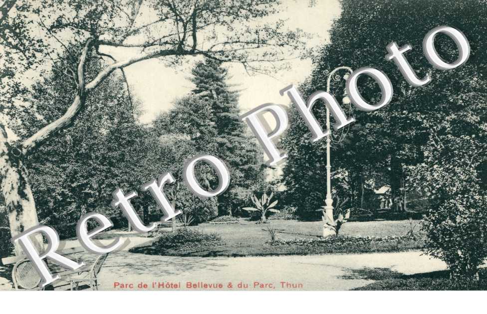 parc de l'Hote Bellevue & Parc 