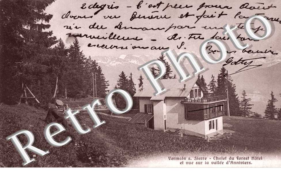 Chalet du Forest Hotel et Vue sur la Vallee d'Anniviers